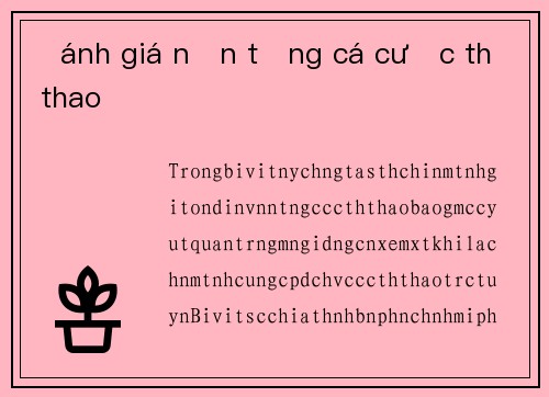 Đánh giá nền tảng cá cược thể thao