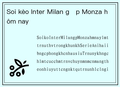 Soi kèo Inter Milan gặp Monza hôm nay