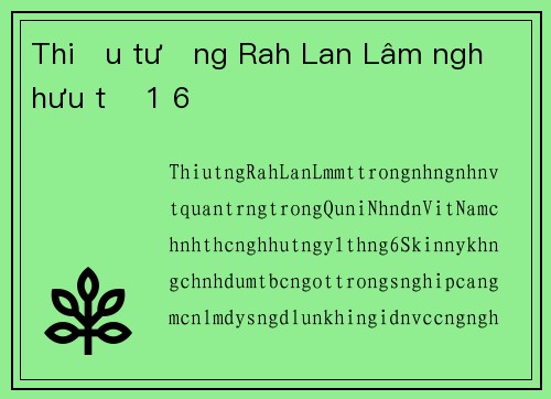 Thiếu tướng Rah Lan Lâm nghỉ hưu từ 1 6